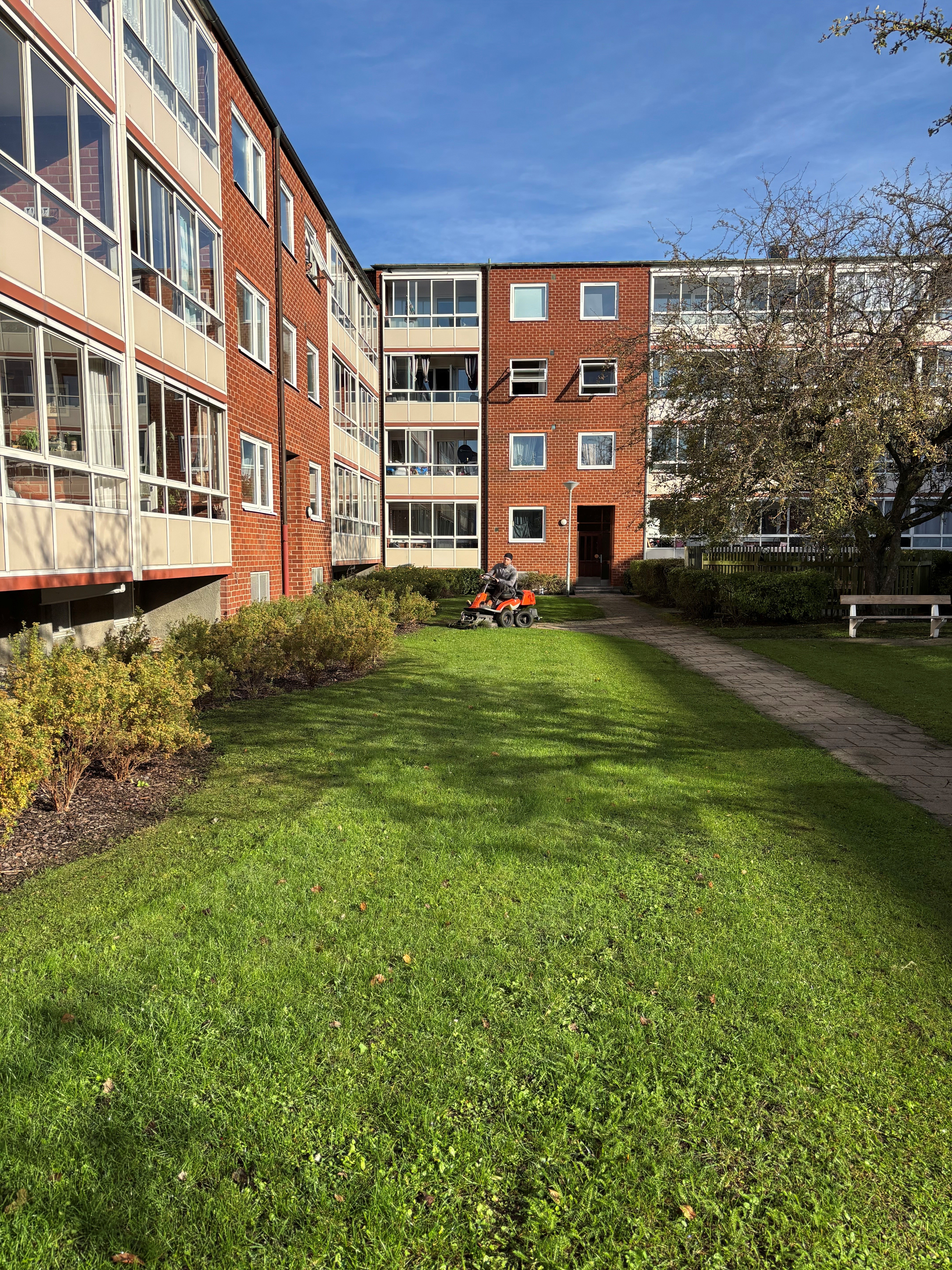 Trädgårdsskötsel vid fastighet